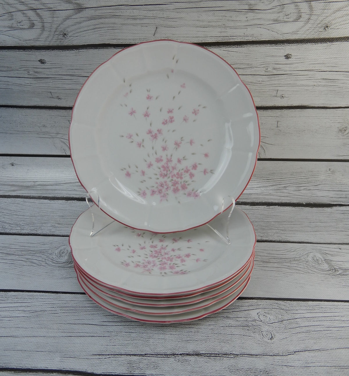 Set of 6 Schumann Arzberg Germany Bavaria Pink Floral Pink Rim Salad Plates