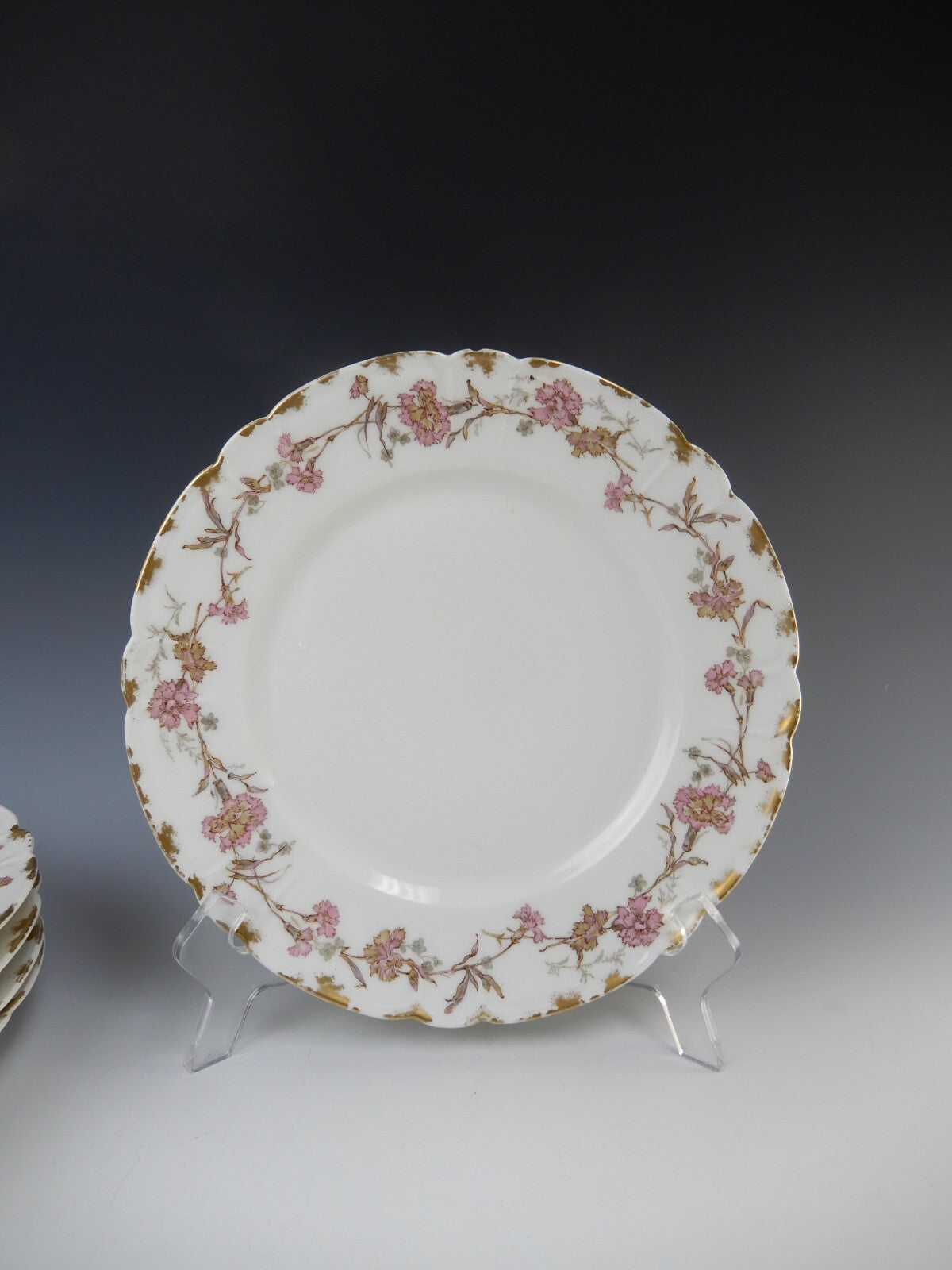 5 Pc.Antique Haviland Limoges France with Carnation Flowers 9-1/2" Dinner Plates