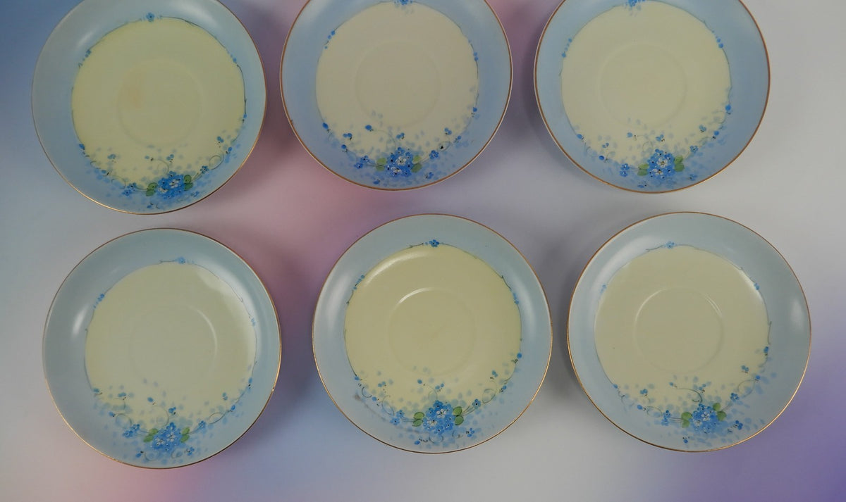 6 Pc.Set J&C Bavaria Stouffer Hand Decorated Blue Forget Me Not Cups and Saucers