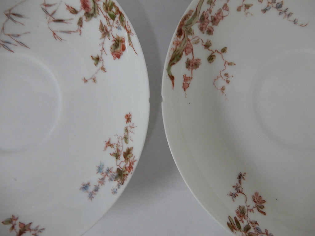 Antique Haviland Limoges J. McD. & S. Co~ 24 Piece Set ~ Service for 6