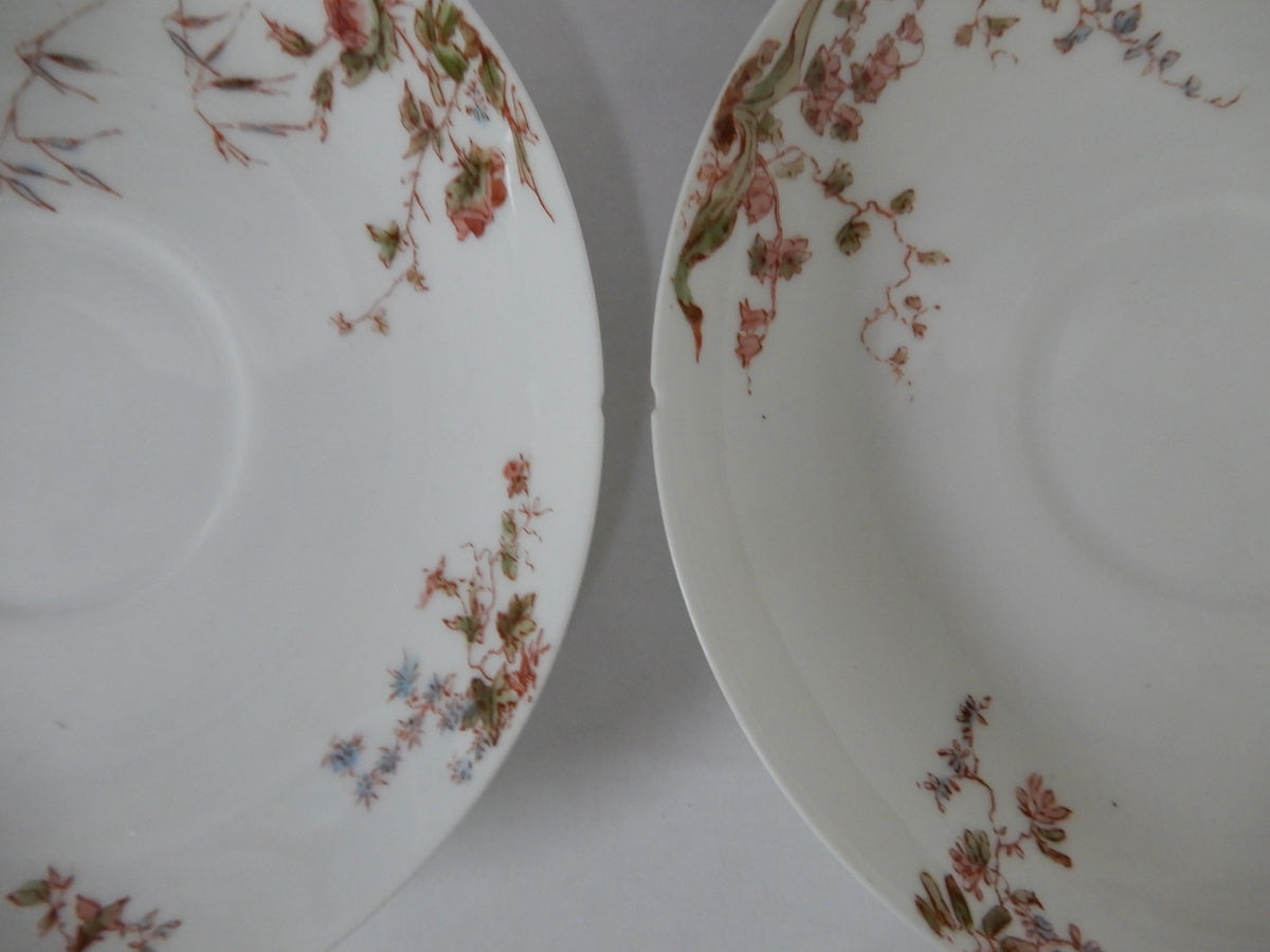 Antique Haviland Limoges J. McD. & S. Co~ 24 Piece Set ~ Service for 6
