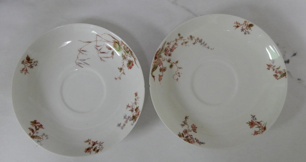 Antique Haviland Limoges J. McD. & S. Co~ 24 Piece Set ~ Service for 6