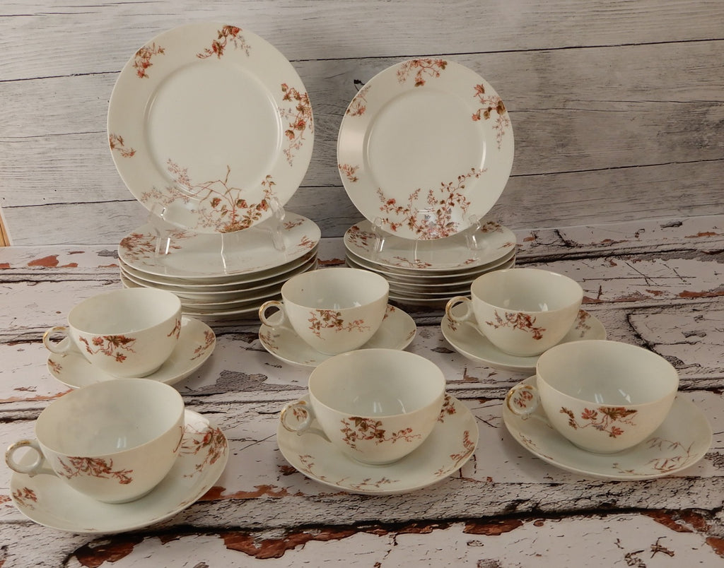 Antique Haviland Limoges J. McD. & S. Co~ 24 Piece Set ~ Service for 6
