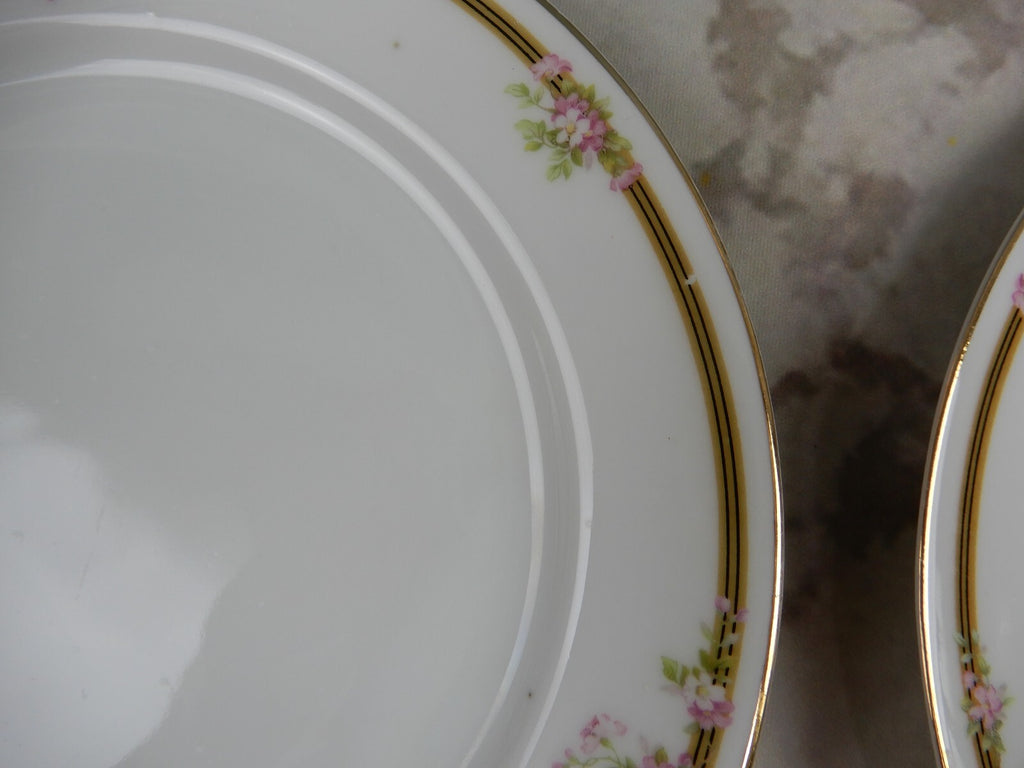 15 Piece Vintage Tirschenreuth Bavaria Kingston Cups,Saucers and Sandwich Plates
